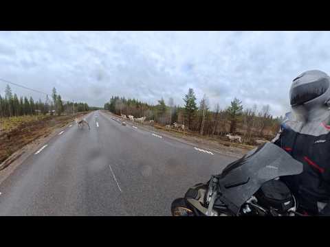 Dag 3, ( 20 mei) reis door zweden